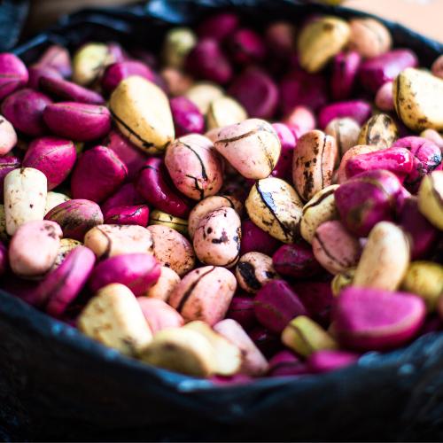 Kola nut exchange African wedding traditions 